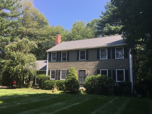 Colonial home with olive siding