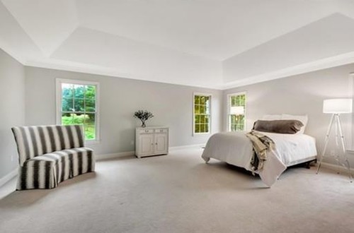 Master bedroom with tray ceiling