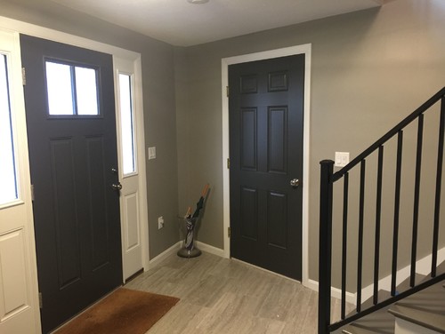 Entryway with navy painted doors